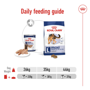 Royal Canin Size Health Nutrition Maxi Adult (Wet Food - Can) 12 x 410g - Dog Food in Qatar