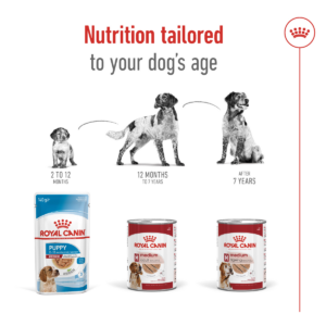 Size Health Nutrition Medium Adult (Wet Food - Can) 12 x 410g - Dog Food in Qatar