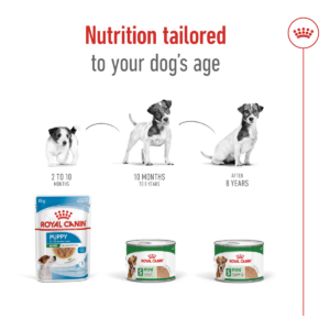 Size Health Nutrition Mini Adult (Wet Food - Can) 12 x 195g - Dog Food in Qatar