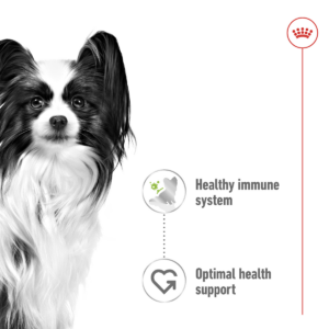 Size Health Nutrition XS Adult (Wet Food - Pouches) 12 x 85g - Dog Food in Qatar
