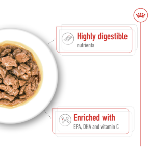 Size Health Nutrition XS Adult (Wet Food - Pouches) 12 x 85g - Dog Food in Qatar