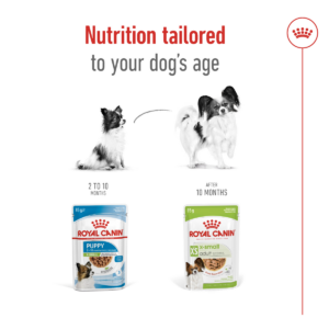 Size Health Nutrition XS Adult (Wet Food - Pouches) 12 x 85g - Dog Food in Qatar